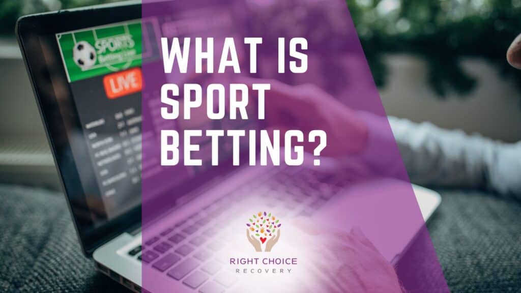 Best Multi-Sport Betting Platforms Best Multi-Sport Betting Platforms