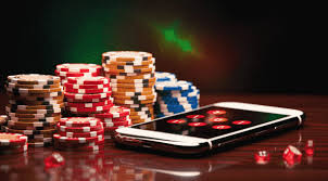 Experience Excitement at Casino DogsFortune!