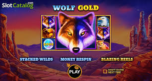 wolf gold slot 당신의 운을 시험해 보세요! wolf gold slot 당신의 운을 시험해 보세요!