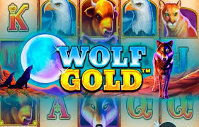 wolf gold slot 당신의 운을 시험해 보세요! wolf gold slot 당신의 운을 시험해 보세요!